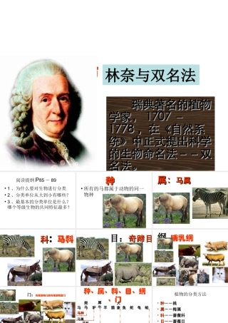 八年级生物上册 第6单元 第1章 根据生物的特征进行分类 第二节 从种到界课件 新人教版