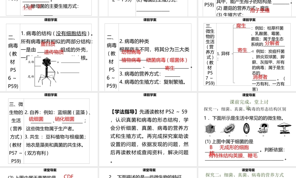八年级生物上册 第五单元 第18章 第1节 微生物在生物圈中的作用（第2课时 细菌、真菌、病毒及营养方式）习题课件 （新版）北师大版-（新版）北师大级上册生物课件