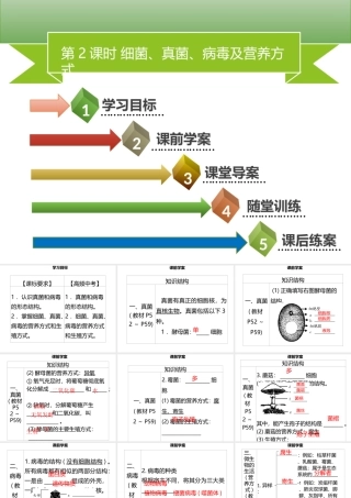 八年级生物上册 第五单元 第18章 第1节 微生物在生物圈中的作用（第2课时 细菌、真菌、病毒及营养方式）习题课件 （新版）北师大版-（新版）北师大级上册生物课件