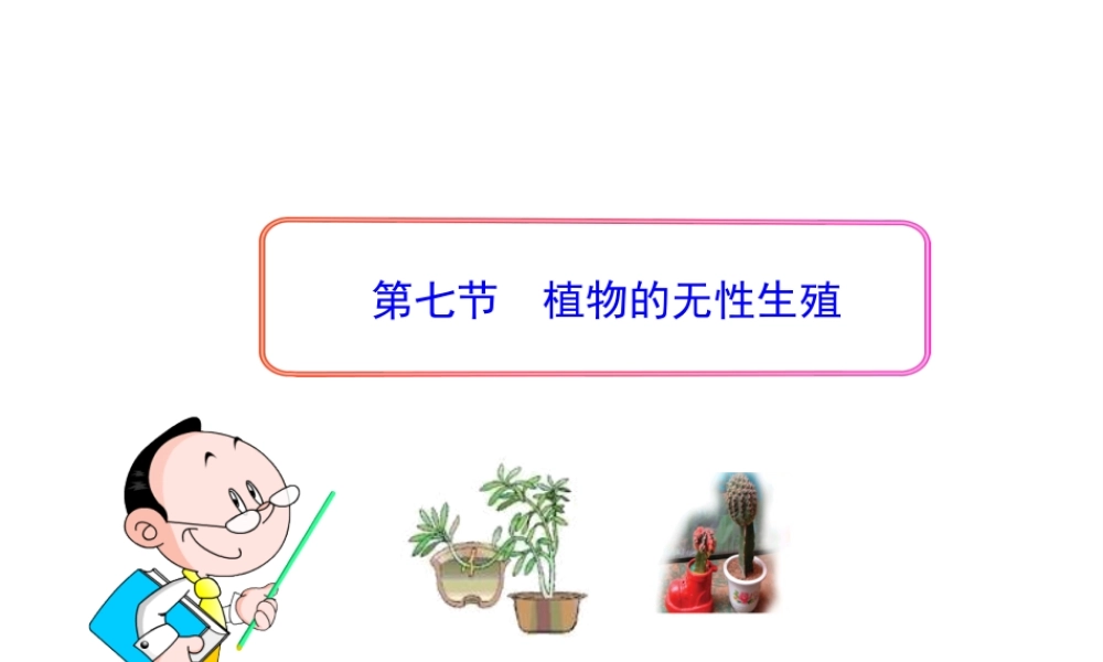 八年级生物上册 第一章 第七节 植物的无性生殖课件 济南版