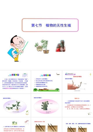 八年级生物上册 第一章 第七节 植物的无性生殖课件 济南版