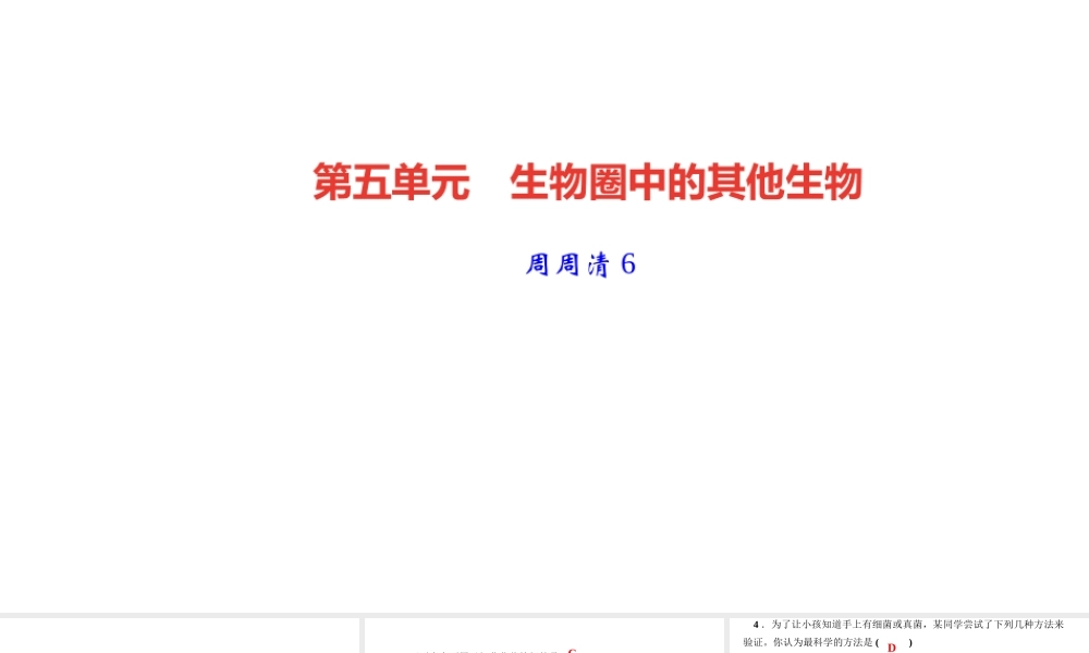 八年级生物上册 第五单元 生物圈中的其他生物 第四章 细菌和真菌 周周清6课件 （新版）新人教版-（新版）新人教级上册生物课件