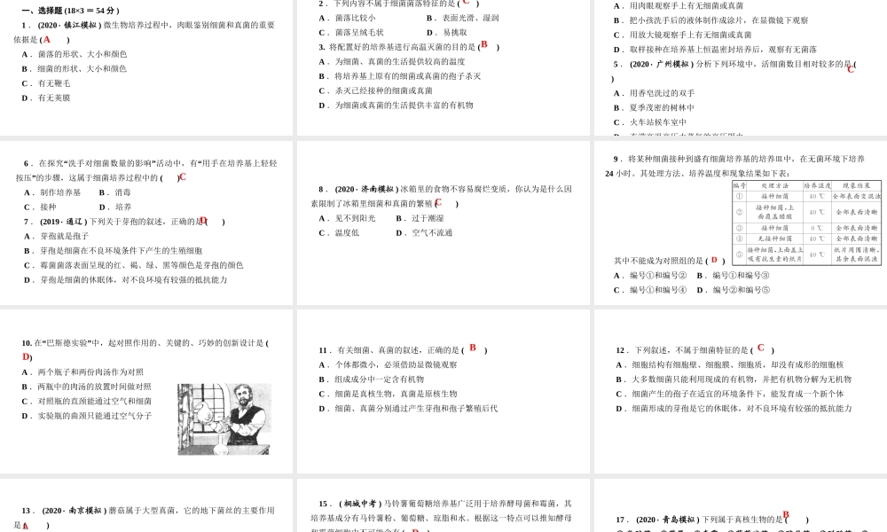 八年级生物上册 第五单元 生物圈中的其他生物 第四章 细菌和真菌 周周清6课件 （新版）新人教版-（新版）新人教级上册生物课件