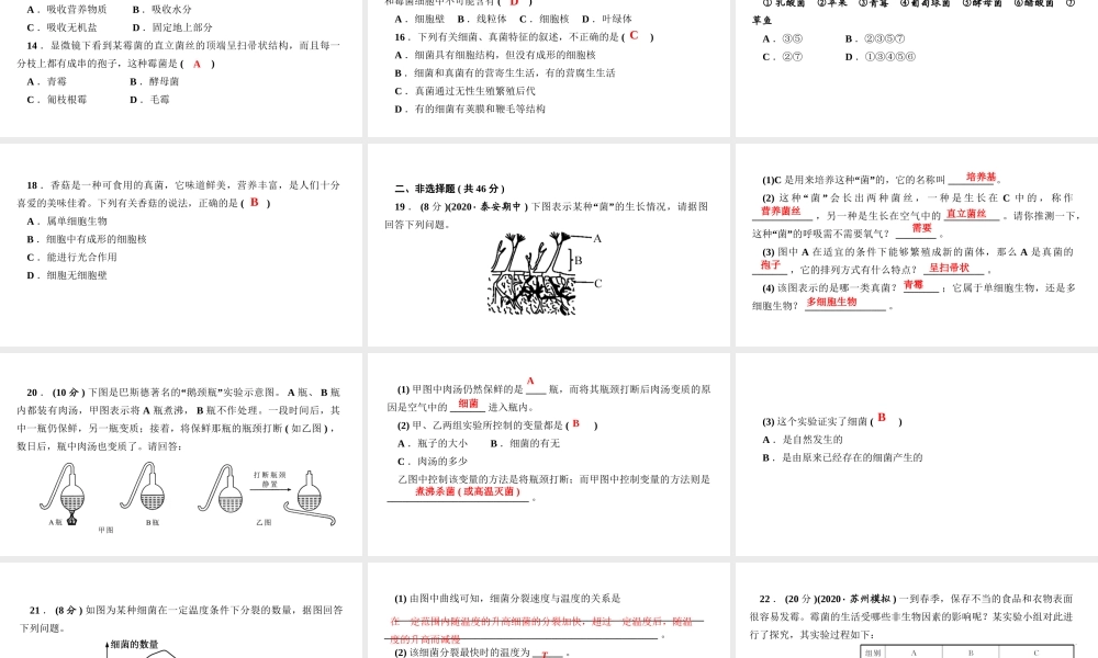 八年级生物上册 第五单元 生物圈中的其他生物 第四章 细菌和真菌 周周清6课件 （新版）新人教版-（新版）新人教级上册生物课件