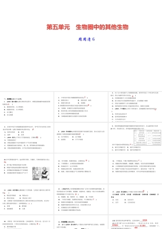 八年级生物上册 第五单元 生物圈中的其他生物 第四章 细菌和真菌 周周清6课件 （新版）新人教版-（新版）新人教级上册生物课件