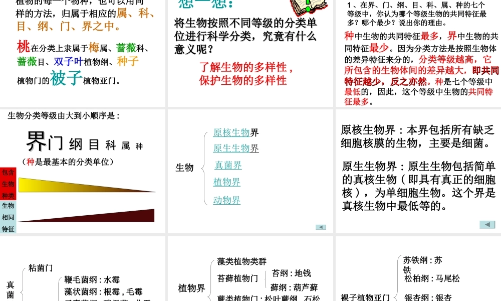 八年级生物上册 第6单元 第1章 根据生物的特征进行分类 第二节 从种到界课件2 新人教版