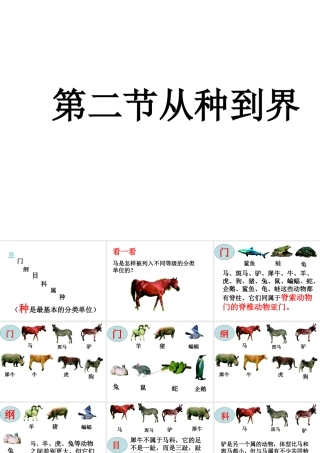 八年级生物上册 第6单元 第1章 根据生物的特征进行分类 第二节 从种到界课件2 新人教版