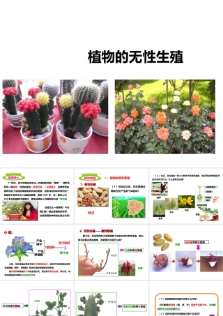 八年级生物上册 第一章 第七节《植物的无性生殖》课件 （新版）济南版-（新版）济南版初中八年级上册生物课件