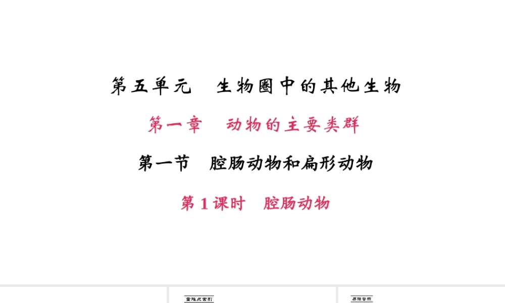 八年级生物上册 第五单元 第一章 第一节 腔肠动物和扁形动物（第1课时 腔肠动物）课件 （新版）新人教版-（新版）新人教版初中八年级上册生物课件