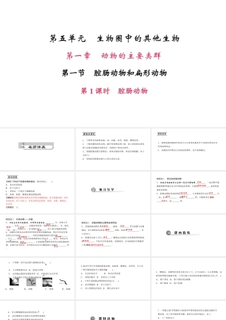 八年级生物上册 第五单元 第一章 第一节 腔肠动物和扁形动物（第1课时 腔肠动物）课件 （新版）新人教版-（新版）新人教版初中八年级上册生物课件