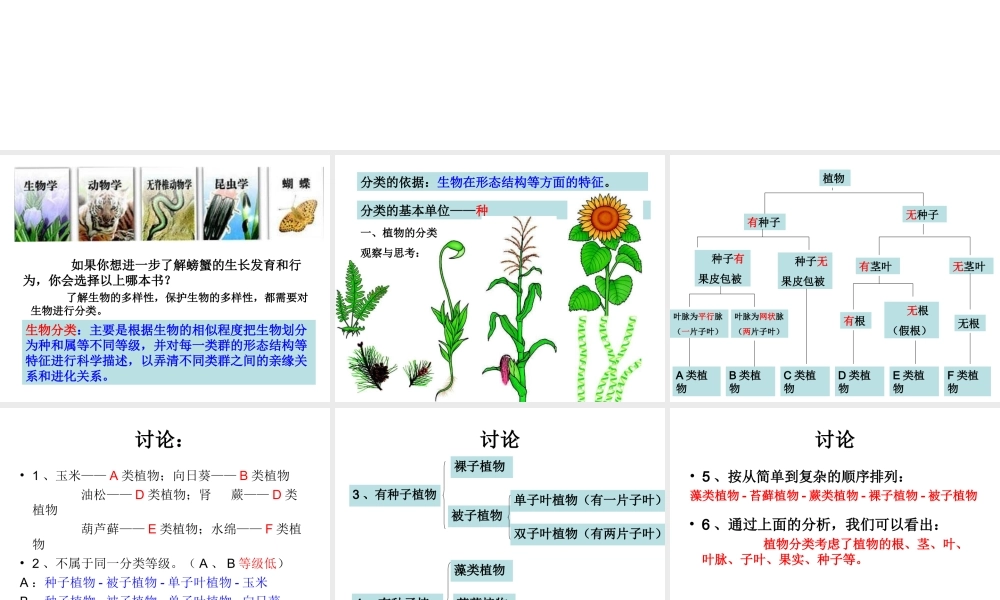 八年级生物上册 第6单元 第1章 根据生物的特征进行分类 第一节 尝试对生物进行分类课件 新人教版