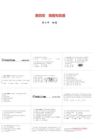 八年级生物上册 第五单元 生物圈中的其他生物 第四章 细菌和真菌第二节 细菌作业课件 （新版）新人教版-（新版）新人教版初中八年级上册生物课件