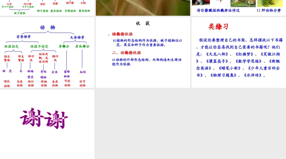 八年级生物上册 第6单元 第1章 根据生物的特征进行分类 第一节 尝试对生物进行分类课件1 新人教版