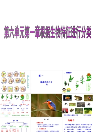 八年级生物上册 第6单元 第1章 根据生物的特征进行分类 第一节 尝试对生物进行分类课件1 新人教版