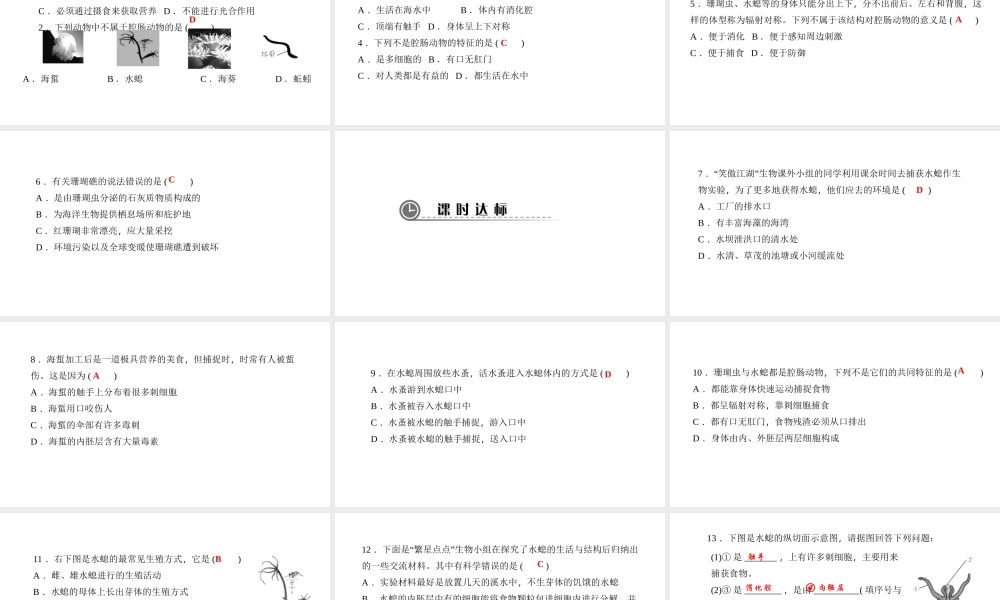 八年级生物上册 第五单元 第一章 第一节 腔肠动物和扁形动物（第1课时 腔肠动物）课件 （新版）新人教版-（新版）新人教级上册生物课件