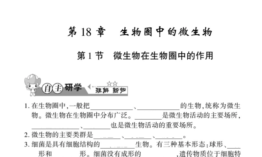 八年级生物上册 第五单元 第18章 第1节 微生物在生物圈中的作用习题课件 （新版）北师大版-（新版）北师大级上册生物课件