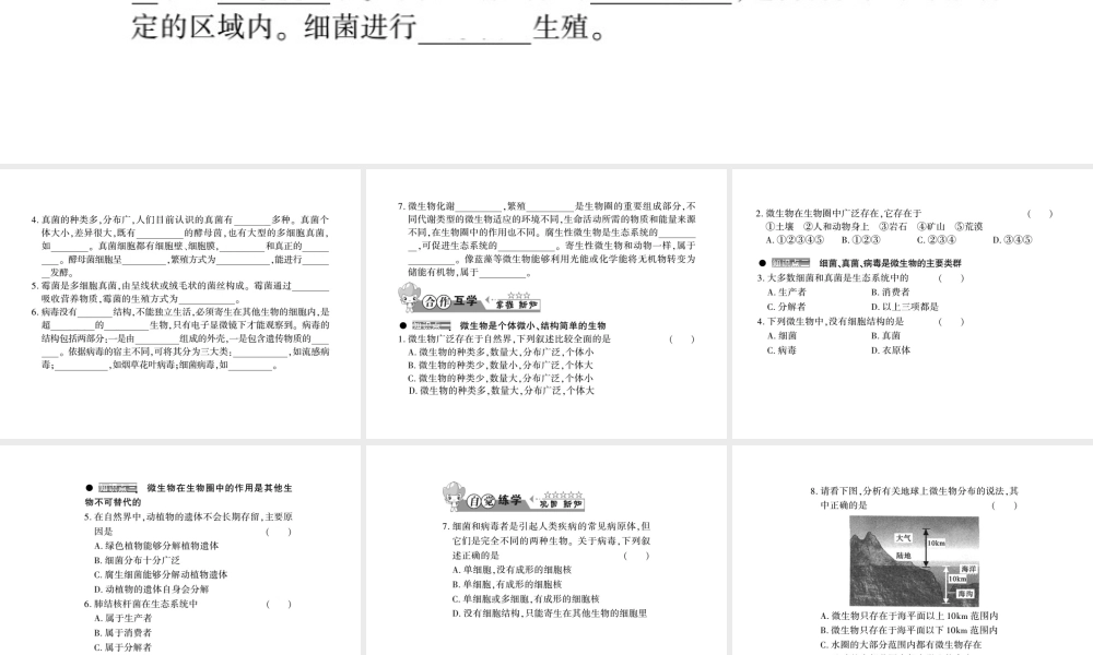 八年级生物上册 第五单元 第18章 第1节 微生物在生物圈中的作用习题课件 （新版）北师大版-（新版）北师大级上册生物课件