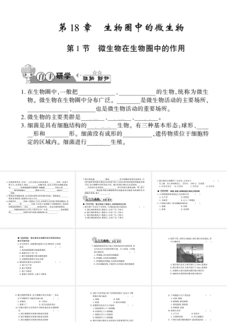 八年级生物上册 第五单元 第18章 第1节 微生物在生物圈中的作用习题课件 （新版）北师大版-（新版）北师大级上册生物课件