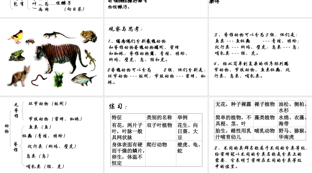 八年级生物上册 第6单元 第1章 根据生物的特征进行分类 第一节 尝试对生物进行分类课件2 新人教版