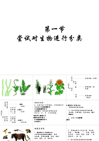 八年级生物上册 第6单元 第1章 根据生物的特征进行分类 第一节 尝试对生物进行分类课件2 新人教版