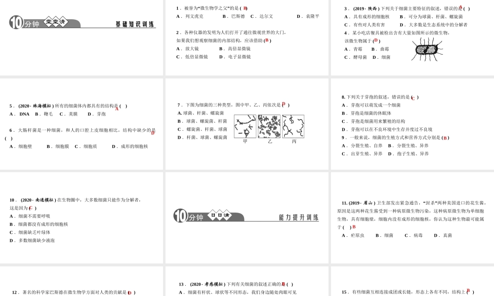 八年级生物上册 第五单元 生物圈中的其他生物 第四章 细菌和真菌第二节 细菌作业课件 （新版）新人教版-（新版）新人教级上册生物课件
