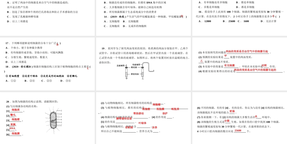 八年级生物上册 第五单元 生物圈中的其他生物 第四章 细菌和真菌第二节 细菌作业课件 （新版）新人教版-（新版）新人教级上册生物课件