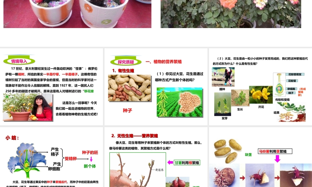 八年级生物上册 第一章 第七节《植物的无性生殖》课件 （新版）济南版-（新版）济南级上册生物课件