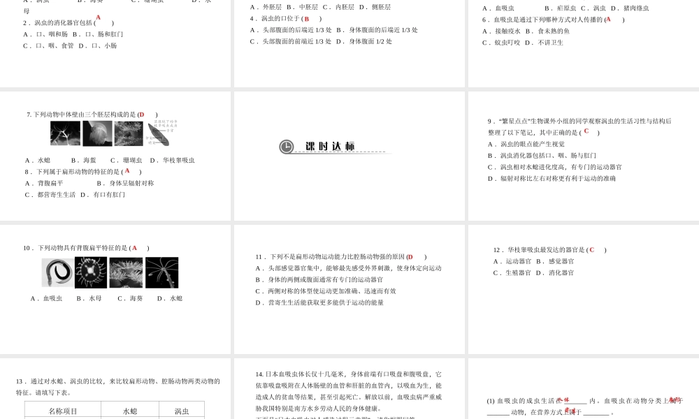 八年级生物上册 第五单元 第一章 第一节 腔肠动物和扁形动物（第2课时 扁形动物）课件 （新版）新人教版-（新版）新人教版初中八年级上册生物课件
