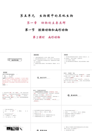 八年级生物上册 第五单元 第一章 第一节 腔肠动物和扁形动物（第2课时 扁形动物）课件 （新版）新人教版-（新版）新人教级上册生物课件