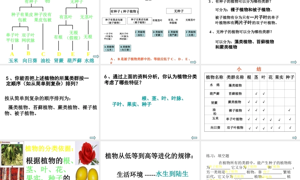 八年级生物上册 第6单元 第1章 根据生物的特征进行分类 第一节 尝试对生物进行分类课件3 新人教版