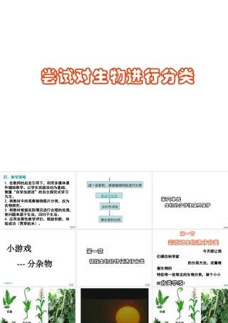 八年级生物上册 第6单元 第1章 根据生物的特征进行分类 第一节 尝试对生物进行分类课件3 新人教版
