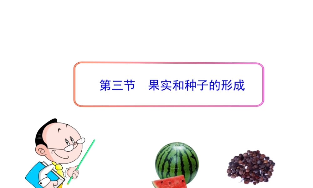 八年级生物上册 第一章 第三节 果实和种子的形成课件 济南版