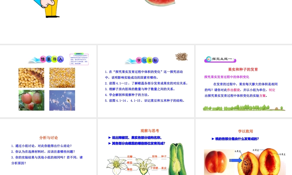 八年级生物上册 第一章 第三节 果实和种子的形成课件 济南版