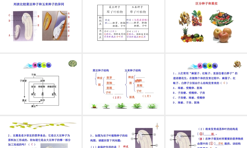 八年级生物上册 第一章 第三节 果实和种子的形成课件 济南版