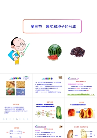八年级生物上册 第一章 第三节 果实和种子的形成课件 济南版