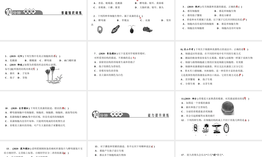 八年级生物上册 第五单元 生物圈中的其他生物 第四章 细菌和真菌第三节 真菌作业课件 （新版）新人教版-（新版）新人教级上册生物课件