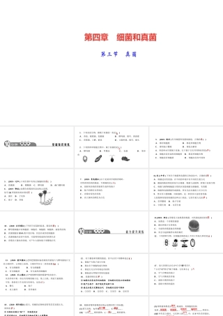 八年级生物上册 第五单元 生物圈中的其他生物 第四章 细菌和真菌第三节 真菌作业课件 （新版）新人教版-（新版）新人教级上册生物课件