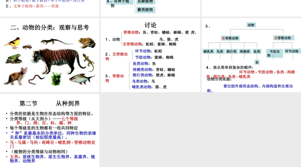 八年级生物上册 第6单元 第1章 根据生物的特征进行分类课件 新人教版