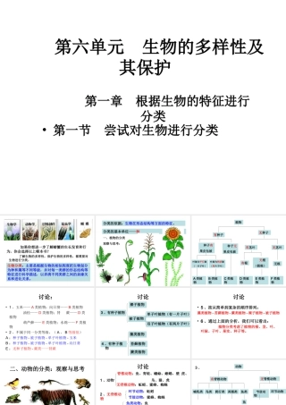 八年级生物上册 第6单元 第1章 根据生物的特征进行分类课件 新人教版