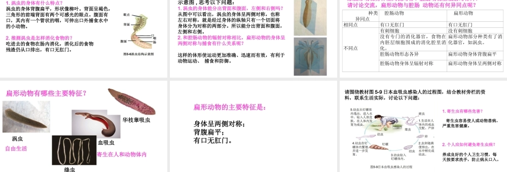 八年级生物上册 第五单元 第一章 第一节 腔肠动物和扁形动物《扁形动物》课件 （新版）新人教版-（新版）新人教版初中八年级上册生物课件