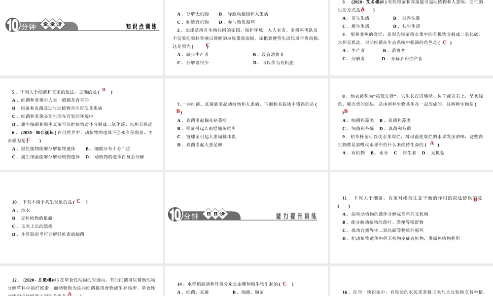八年级生物上册 第五单元 生物圈中的其他生物 第四章 细菌和真菌第四节 细菌和真菌在自然界中的作用作业课件 （新版）新人教版-（新版）新人教版初中八年级上册生物课件