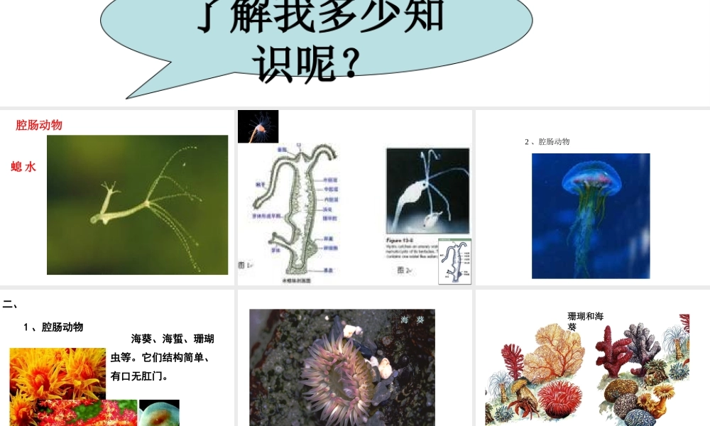 八年级生物上册 第一章 第三节 节肢动物课件 新人教版