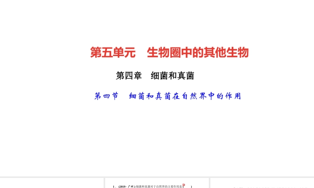 八年级生物上册 第五单元 生物圈中的其他生物 第四章 细菌和真菌第四节 细菌和真菌在自然界中的作用作业课件 （新版）新人教版-（新版）新人教级上册生物课件