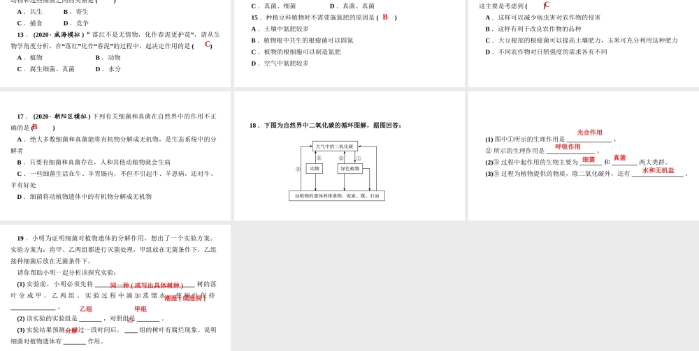 八年级生物上册 第五单元 生物圈中的其他生物 第四章 细菌和真菌第四节 细菌和真菌在自然界中的作用作业课件 （新版）新人教版-（新版）新人教级上册生物课件