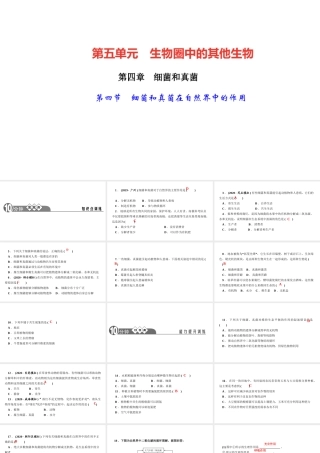 八年级生物上册 第五单元 生物圈中的其他生物 第四章 细菌和真菌第四节 细菌和真菌在自然界中的作用作业课件 （新版）新人教版-（新版）新人教级上册生物课件