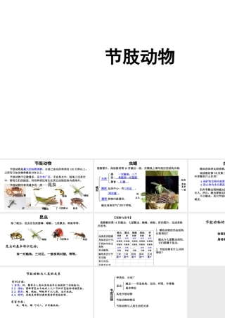 八年级生物上册 第五单元 第一章 第一节 腔肠动物和扁形动物《节肢动物》课件 （新版）新人教版-（新版）新人教版初中八年级上册生物课件