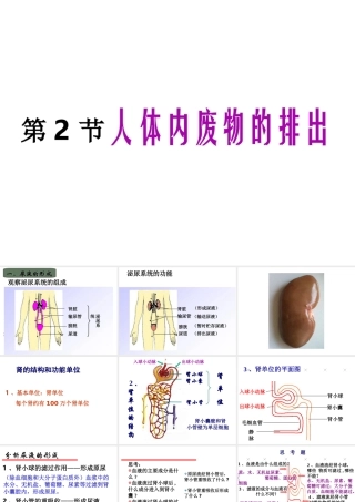 八年级生物上册 第6单元 第15章 第2节 人体内废物的排出课件1 （新版）苏科版-（新版）苏科级上册生物课件