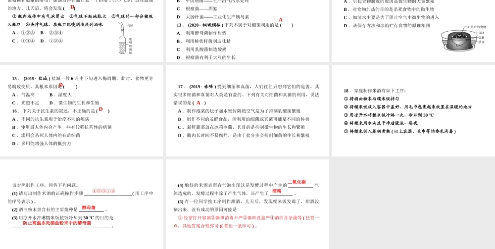 八年级生物上册 第五单元 生物圈中的其他生物 第四章 细菌和真菌第五节 人类对细菌和真菌的利用作业课件 （新版）新人教版-（新版）新人教版初中八年级上册生物课件