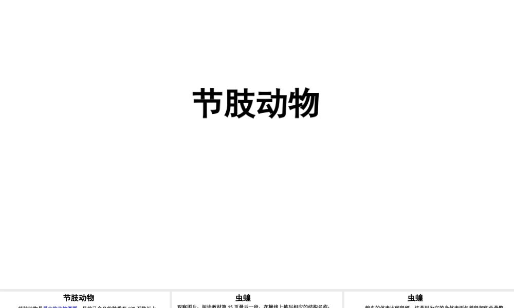 八年级生物上册 第五单元 第一章 第一节 腔肠动物和扁形动物《节肢动物》课件 （新版）新人教版-（新版）新人教级上册生物课件