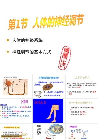 八年级生物上册 第6单元 第16章 第1节 人体的神经调节课件1 （新版）苏科版-（新版）苏科版初中八年级上册生物课件